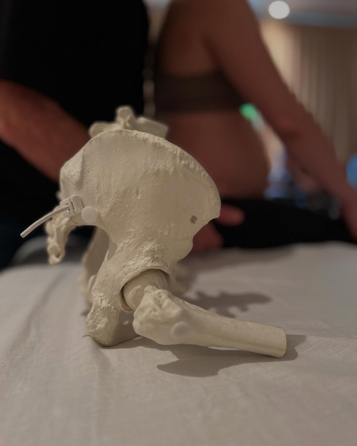 Modelo anatómico de pelvis durante una práctica de CEFALP